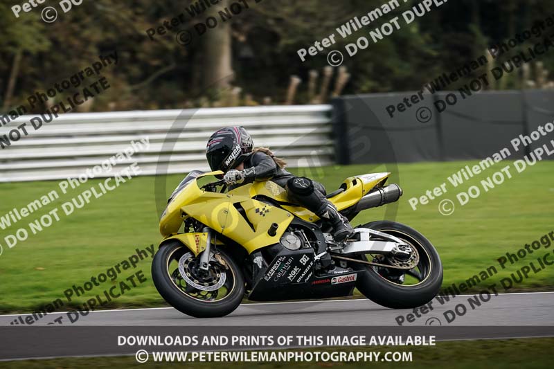 anglesey;brands hatch;cadwell park;croft;donington park;enduro digital images;event digital images;eventdigitalimages;mallory;no limits;oulton park;peter wileman photography;racing digital images;silverstone;snetterton;trackday digital images;trackday photos;vmcc banbury run;welsh 2 day enduro